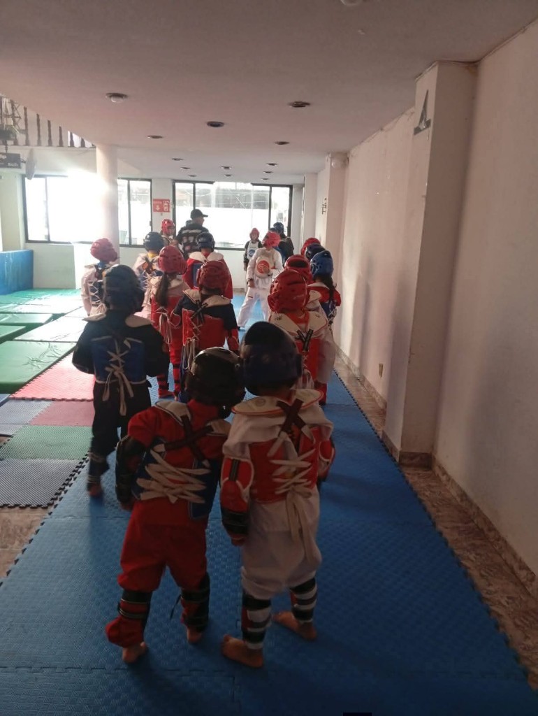 Combate